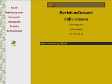 Revisor Palle Jensen